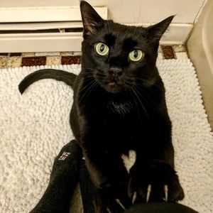 Meet your Posher, Erica